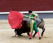 Madrid - bullfighting, one of the most characteristic aspects of Spanish culture 