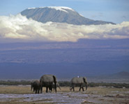 Tanzania - Mt Kilimanjaro is Africa's highest mountain
